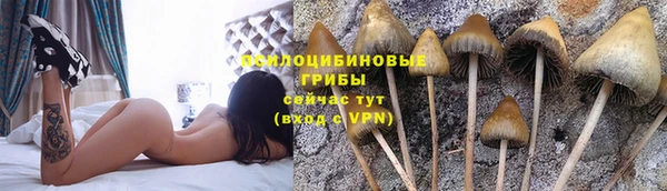 молекула духа Алексин