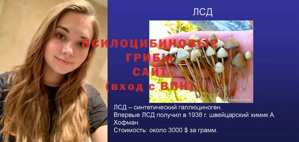 молекула духа Алексин
