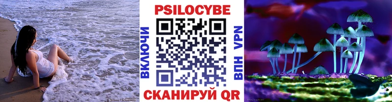 купить наркоту  Дедовск  Галлюциногенные грибы Cubensis 